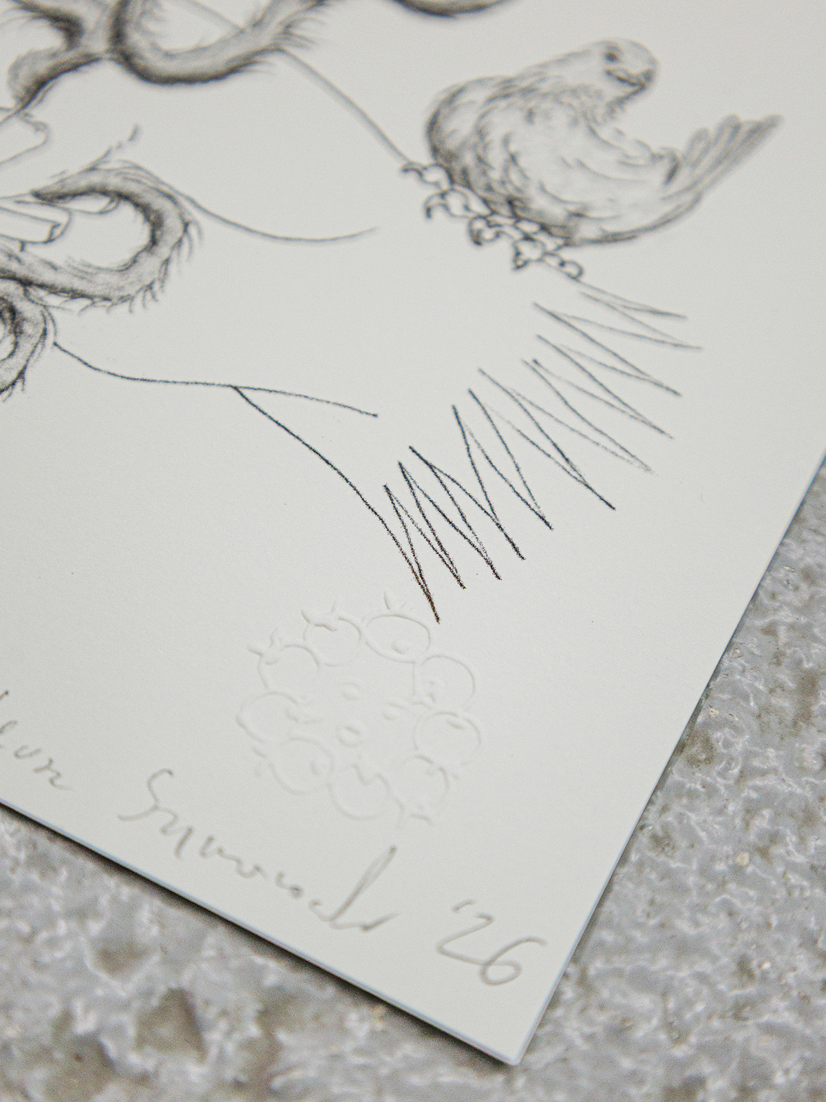 Soft and Spiky - Image 3