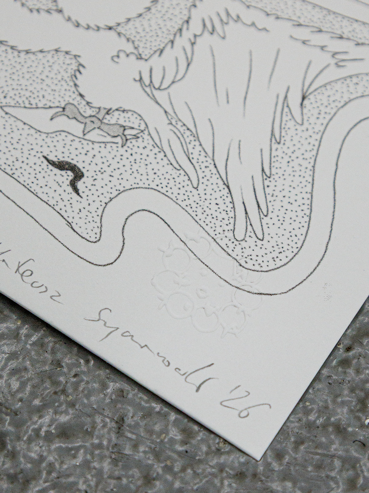 Swan Sky - Image 3